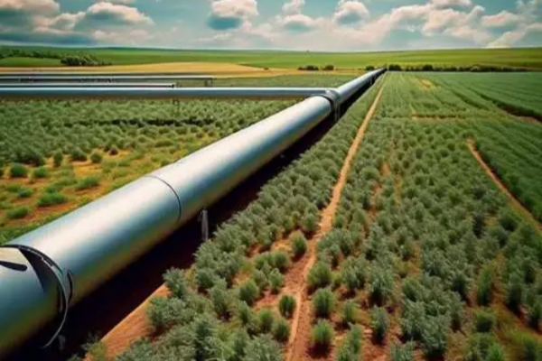 sbobet����(�й�)���޹�˾����